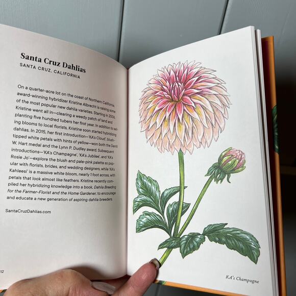 Dahlias a Little Book of Flowers - Tara Austen Weaver - Picture 6 of 7